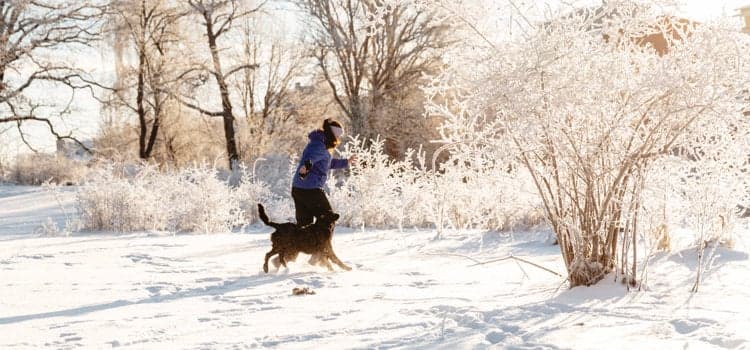 En person som rastar en hund i snön