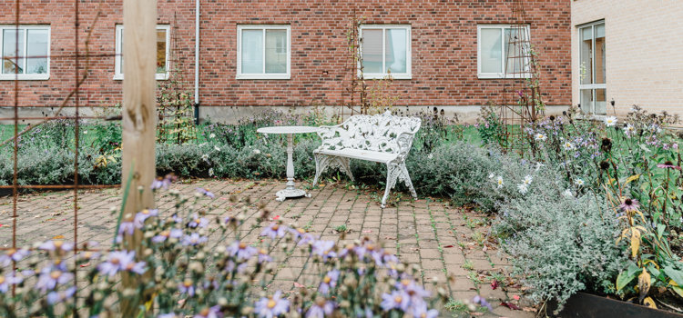 En vit bänk som sitter mitt i en trädgård