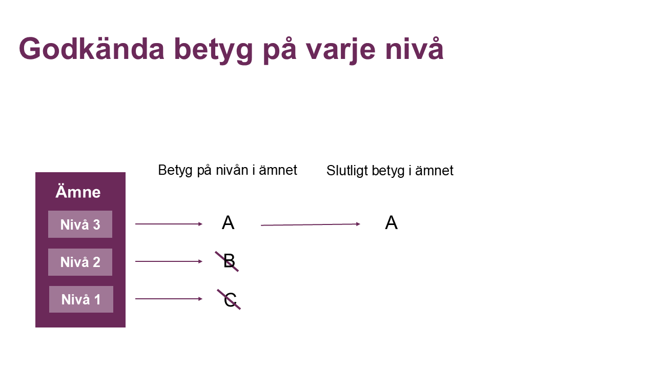 Slutgiltigt betyg i ämnet