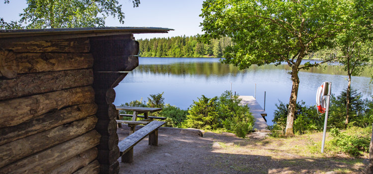 Vy över vindskyddet "Gäddhänget" på Billingen i Skövde