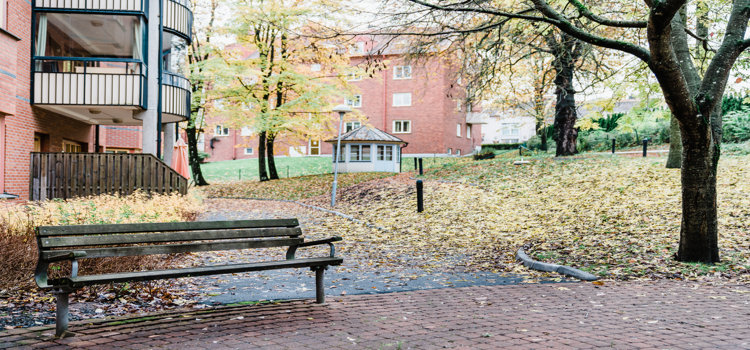 Trädgård med en bänk, lusthus och träd